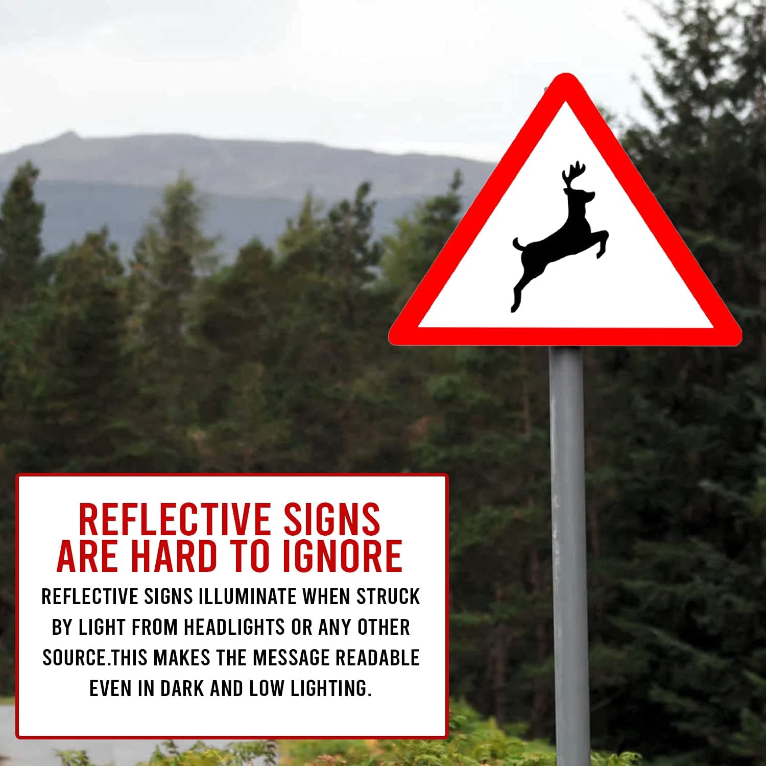 LADWA Triangle Signage 600mm - Wild Animals view 5
