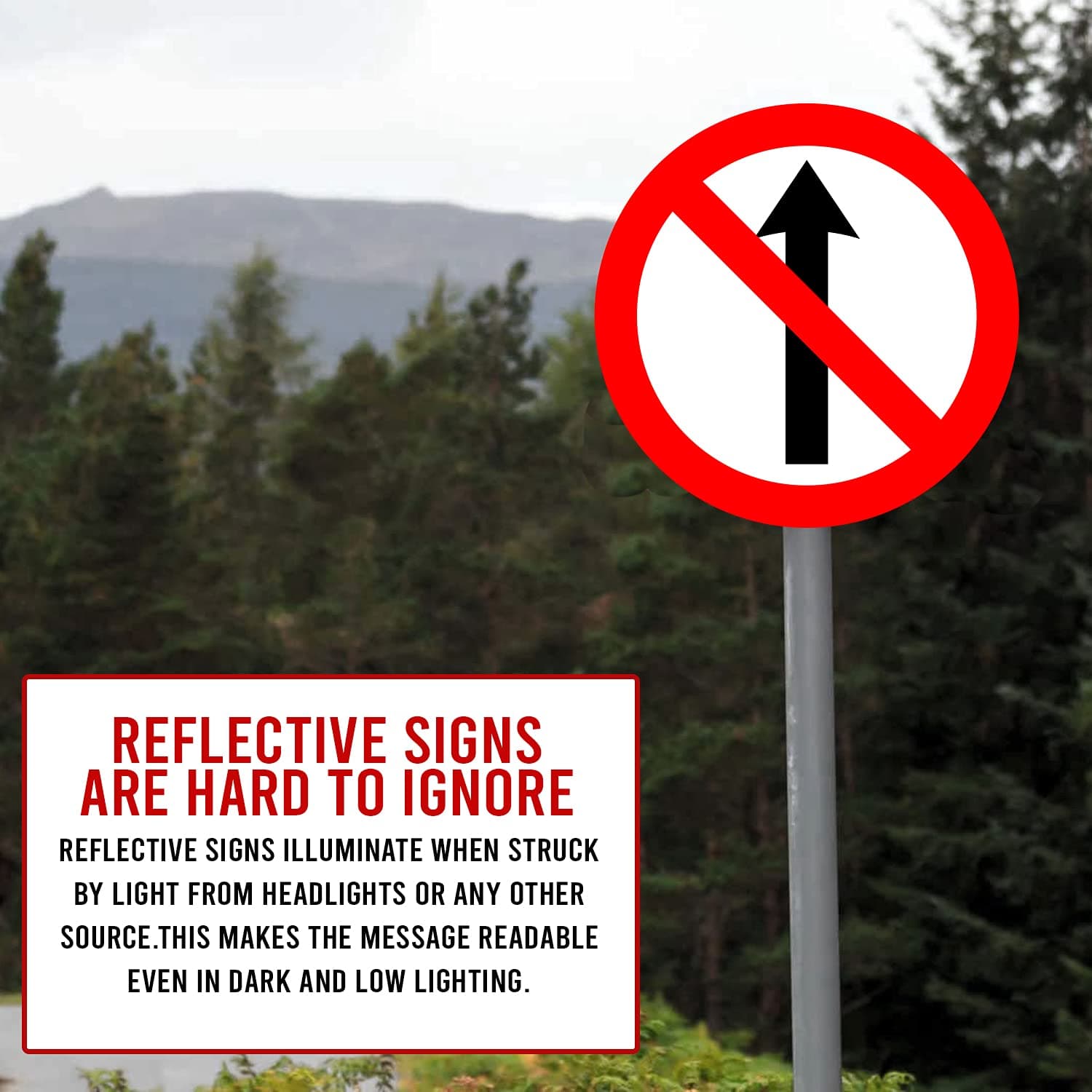 LADWA Circle Signage 600mm - No Entry Prohibited view 5